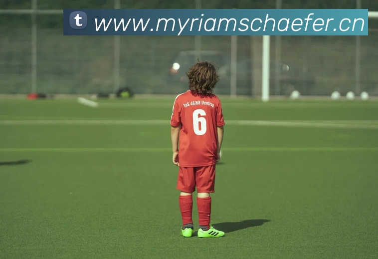 爱游戏在线登录入口品牌故事