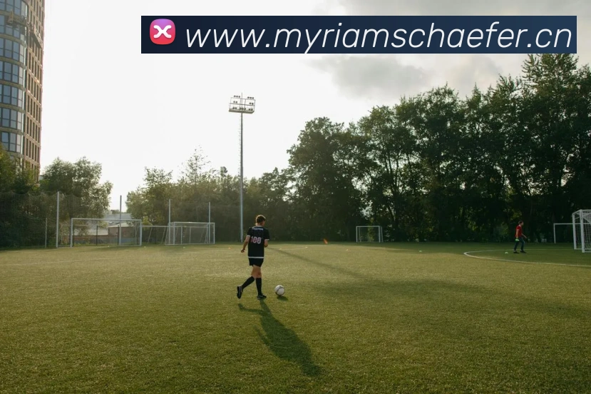 爱游戏在线登录入口服务体系